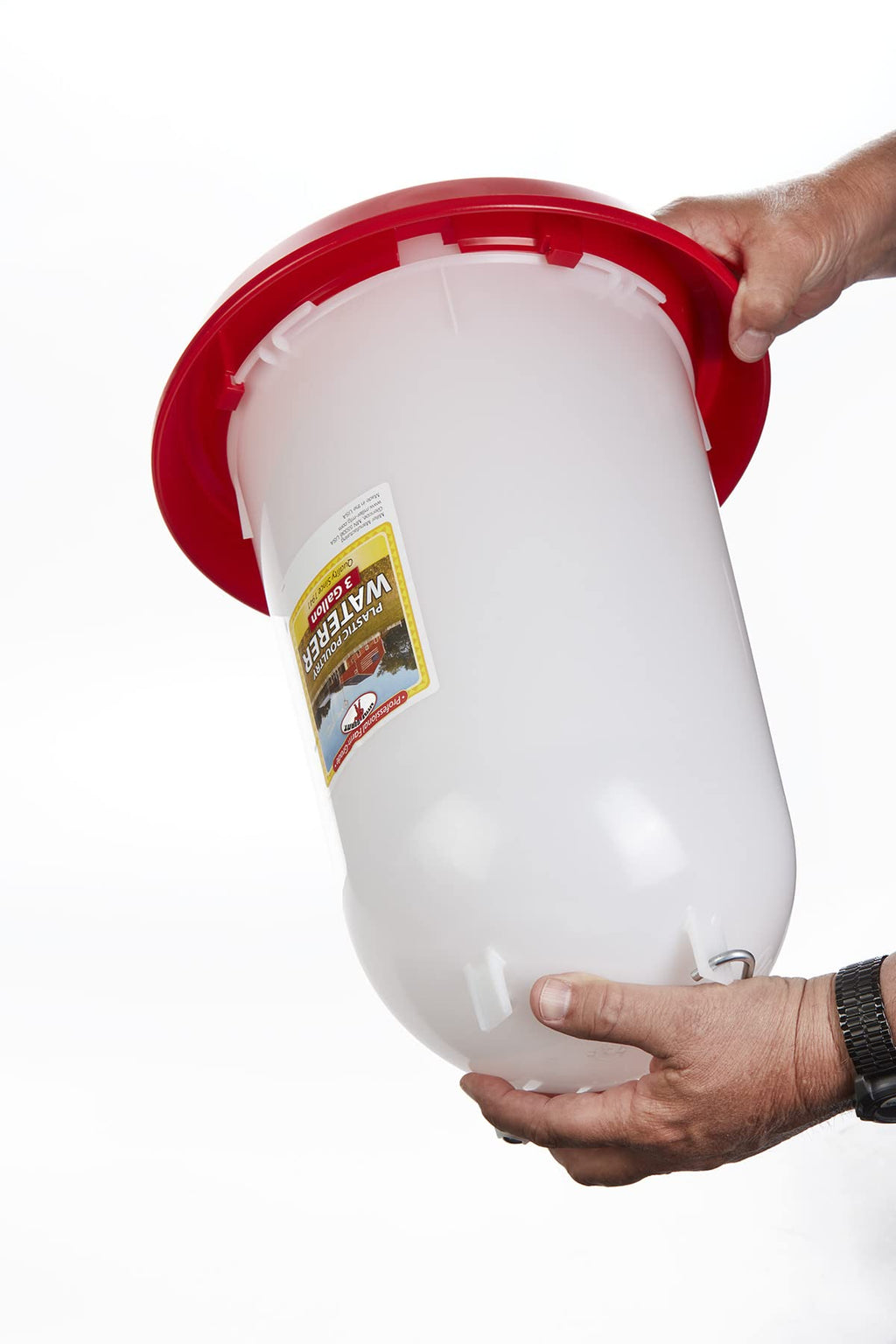 3 Gallon Plastic Poultry Waterer with Handle S664