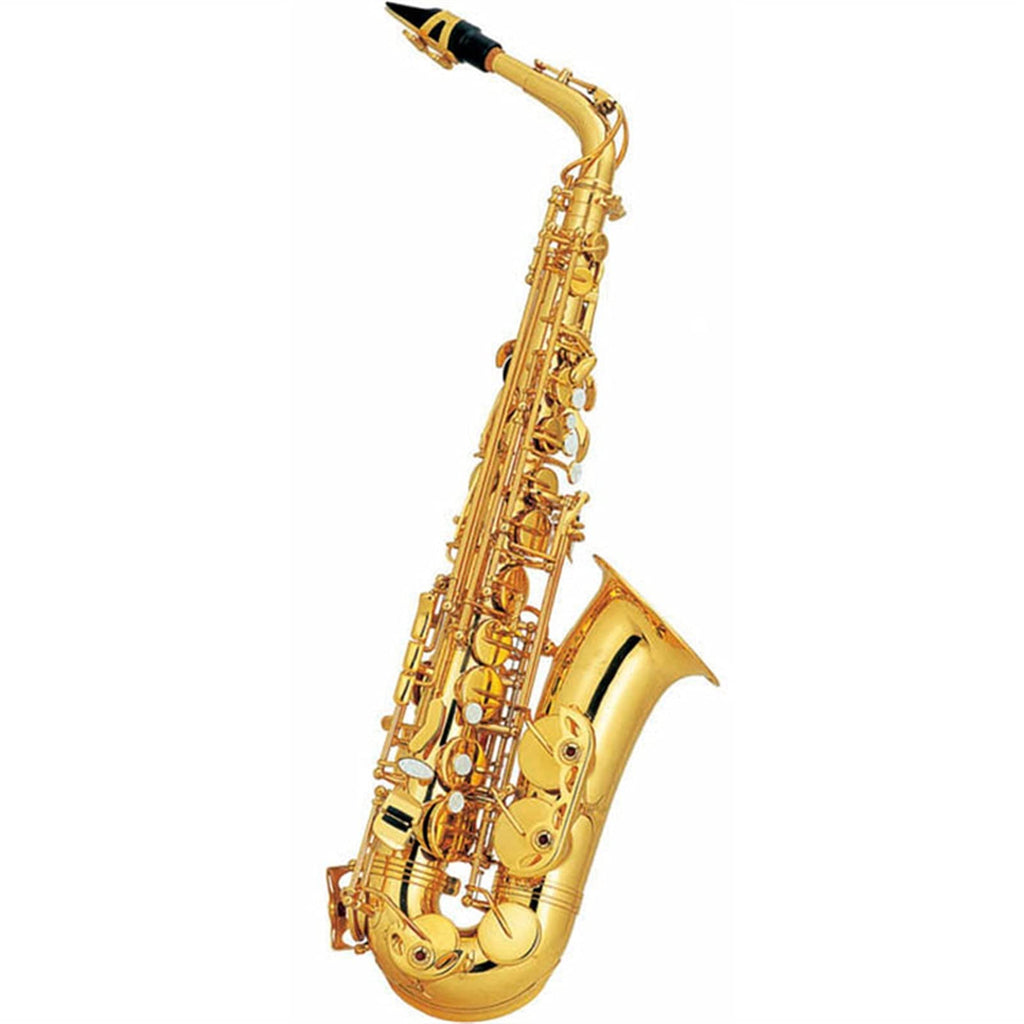 Alto Saxophone Set J582927