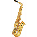 Alto Saxophone Set J582927