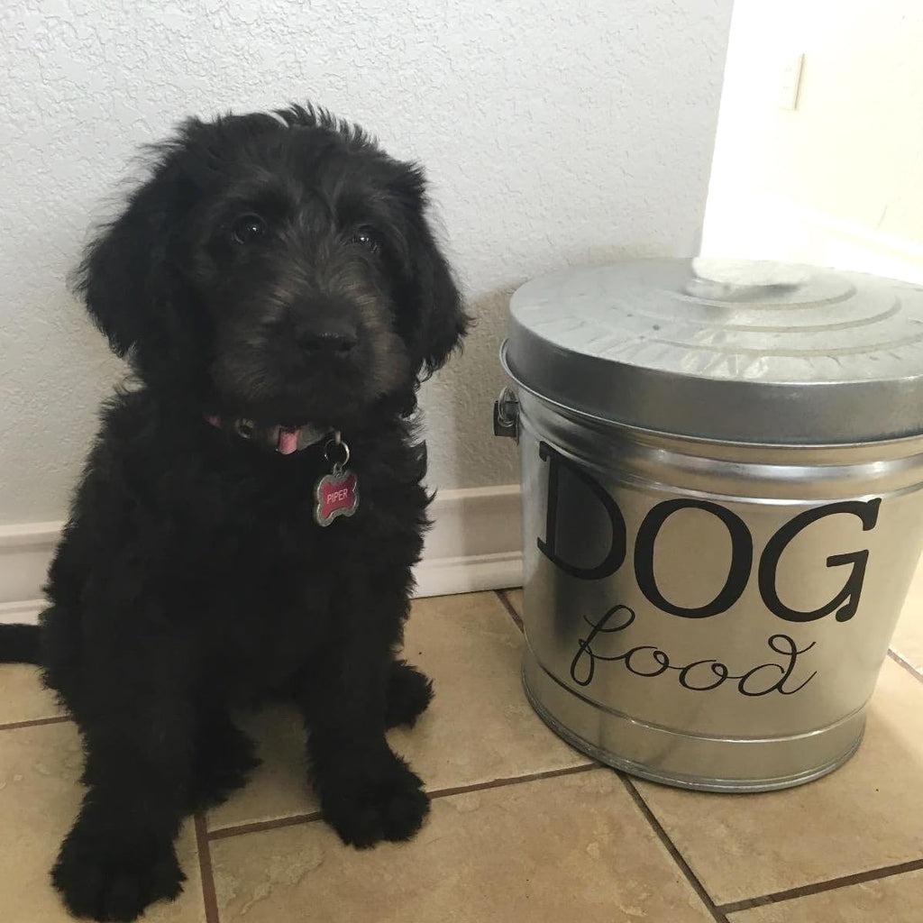 6 Gallon Galvanized Steel Locking Trash Can P132