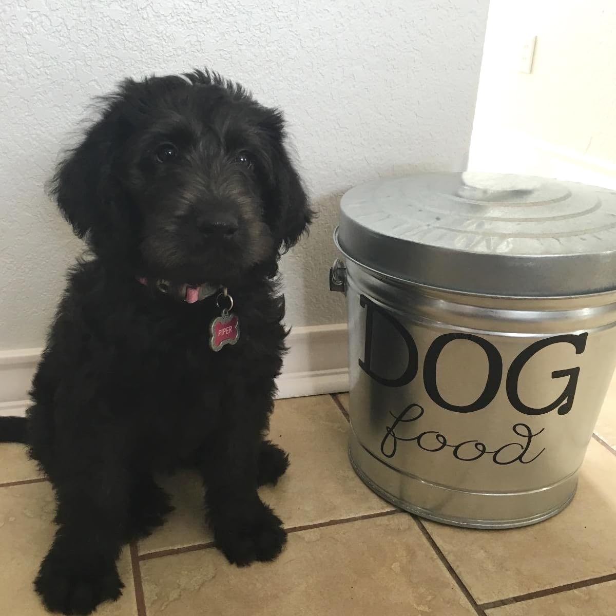 6 Gallon Galvanized Steel Locking Trash Can P132