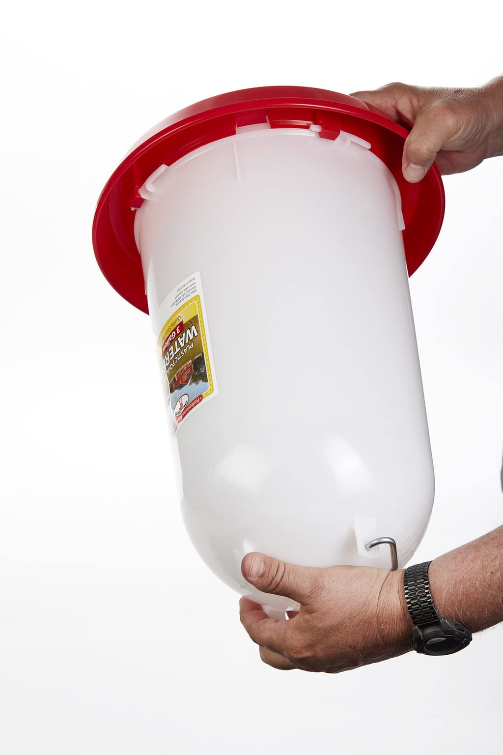 3 Gallon Plastic Poultry Waterer with Handle S664