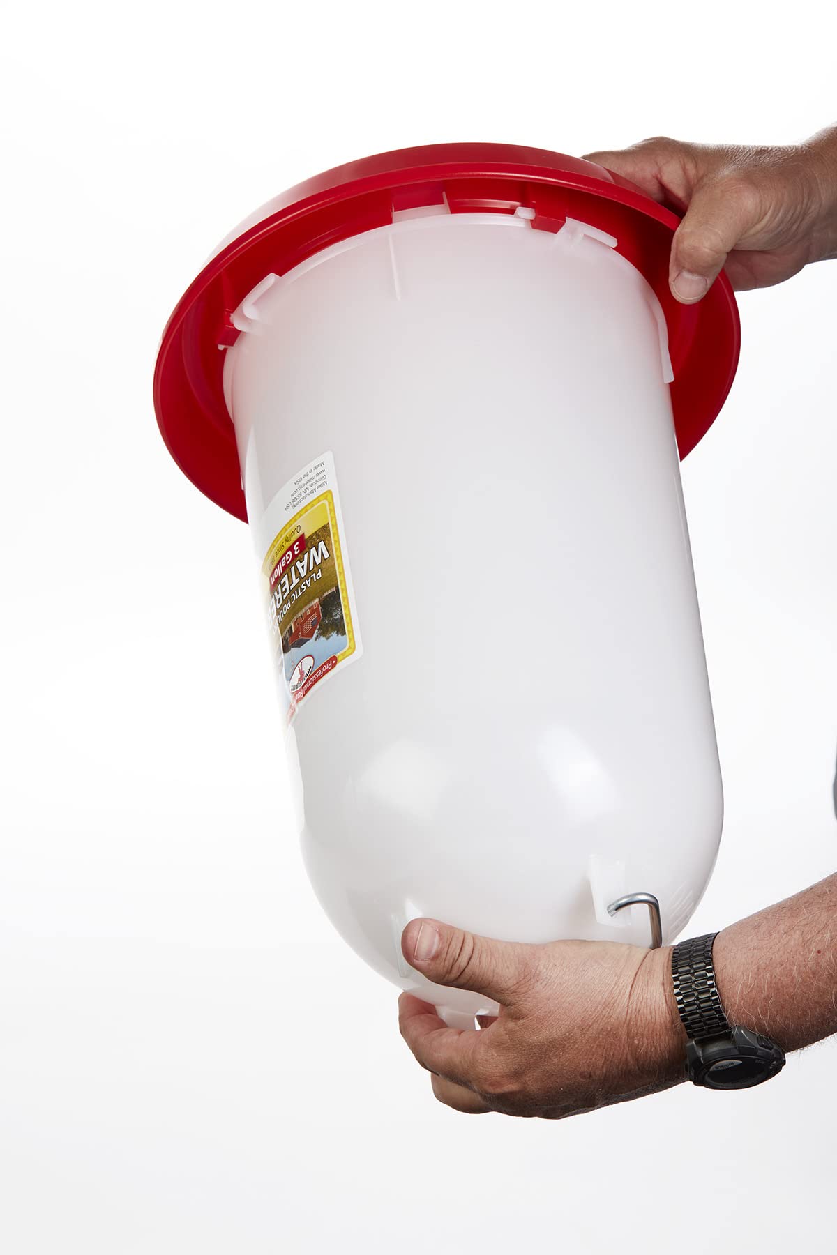 3 Gallon Plastic Poultry Waterer with Handle S664