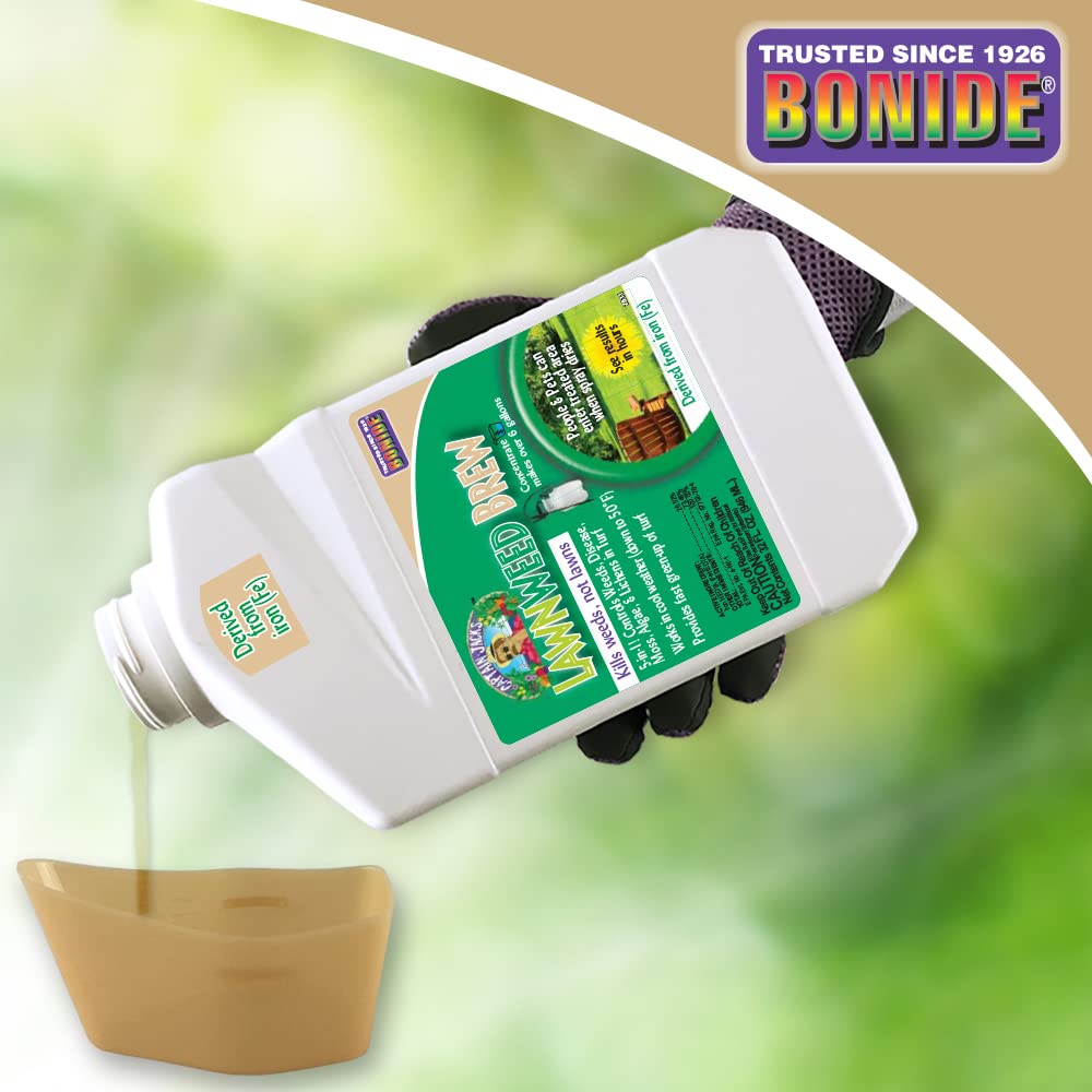 32 oz Concentrate Weed Moss Algae Control O575381