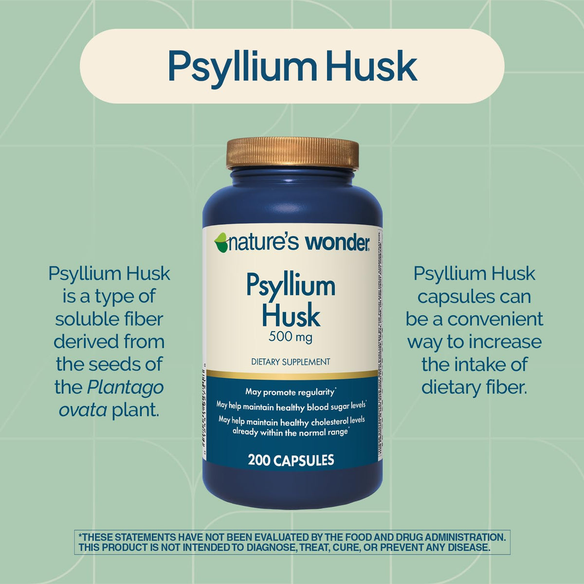 Psyllium Husk 500 mg Capsules 200 Count L260