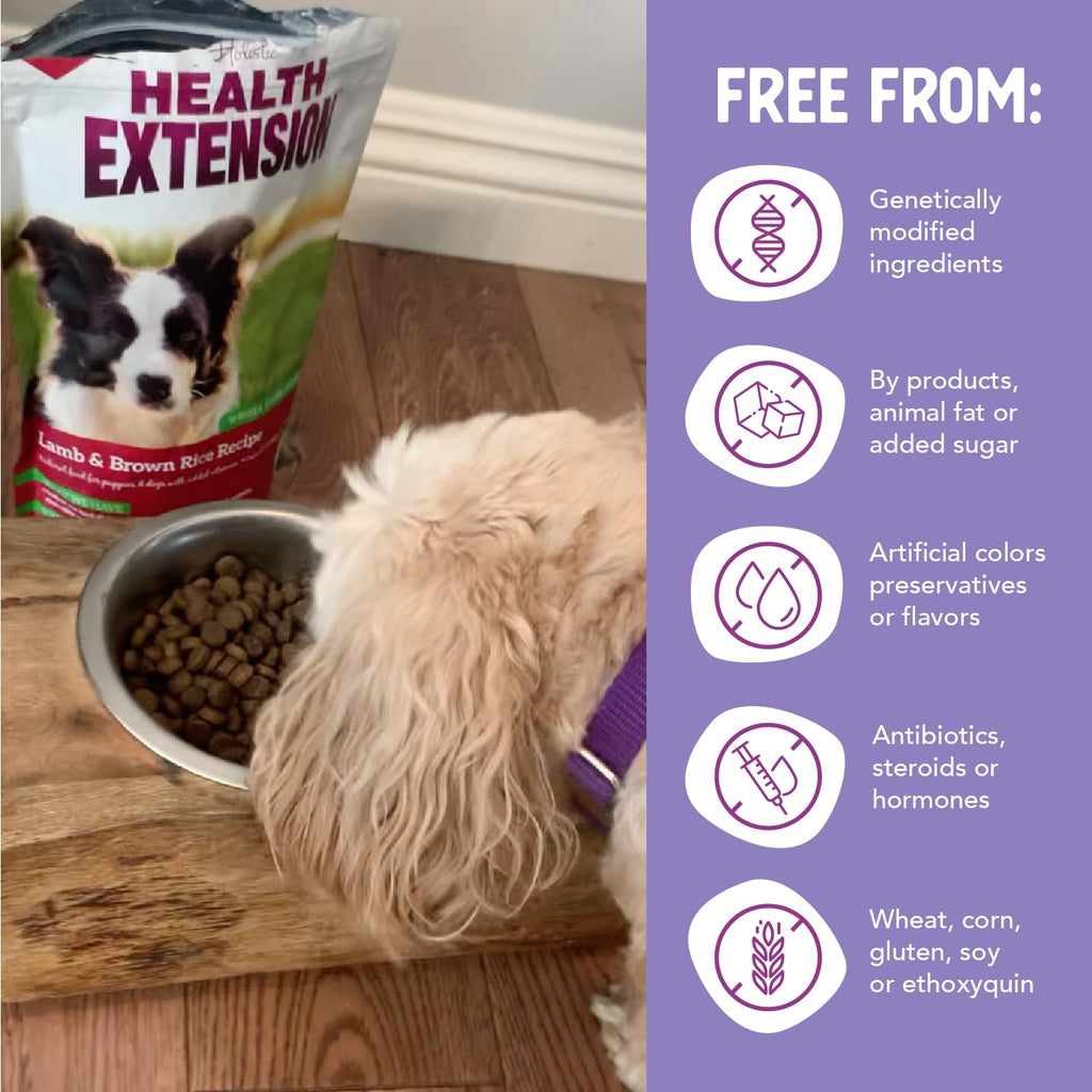 Lamb & Brown Rice Dry Dog Food with Probiotics 1 lb A831131