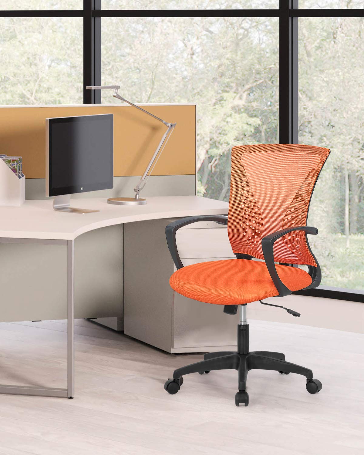 Mid Back Office Chair with Lumbar Support T66789
