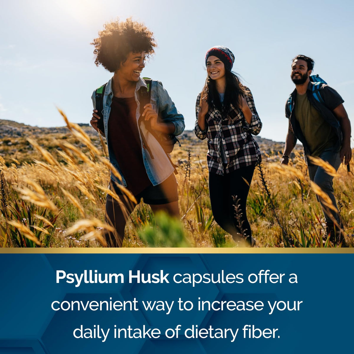 Psyllium Husk 500 mg Capsules 200 Count L260