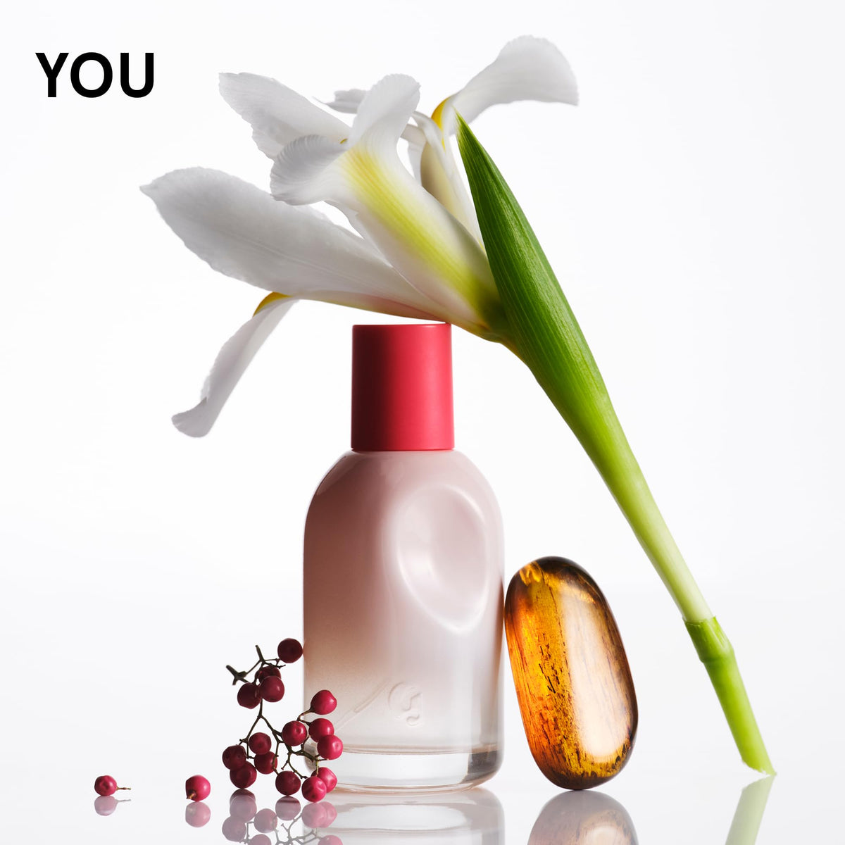 Fragrance Set D61483