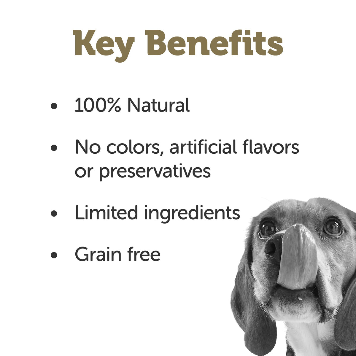 Chicken Bone Broth Dog Food Topper 6-Pack 7.1oz Pouch N497