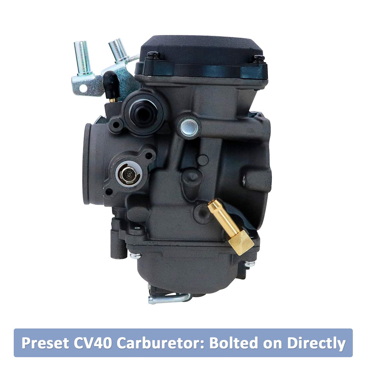 CV40 Carburetor with Fuel Filter Spark Plug Jets R293405