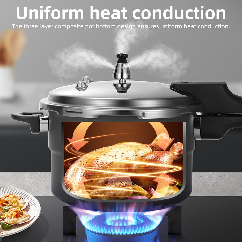 Stainless Steel Pressure Cooker K508