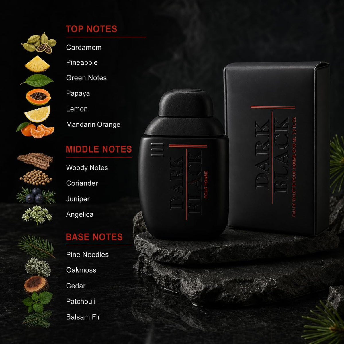 Black Eau de Toilette Cologne 100ml B531425