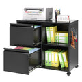 Black 2-Drawer Mobile File Cabinet with Lock M88537