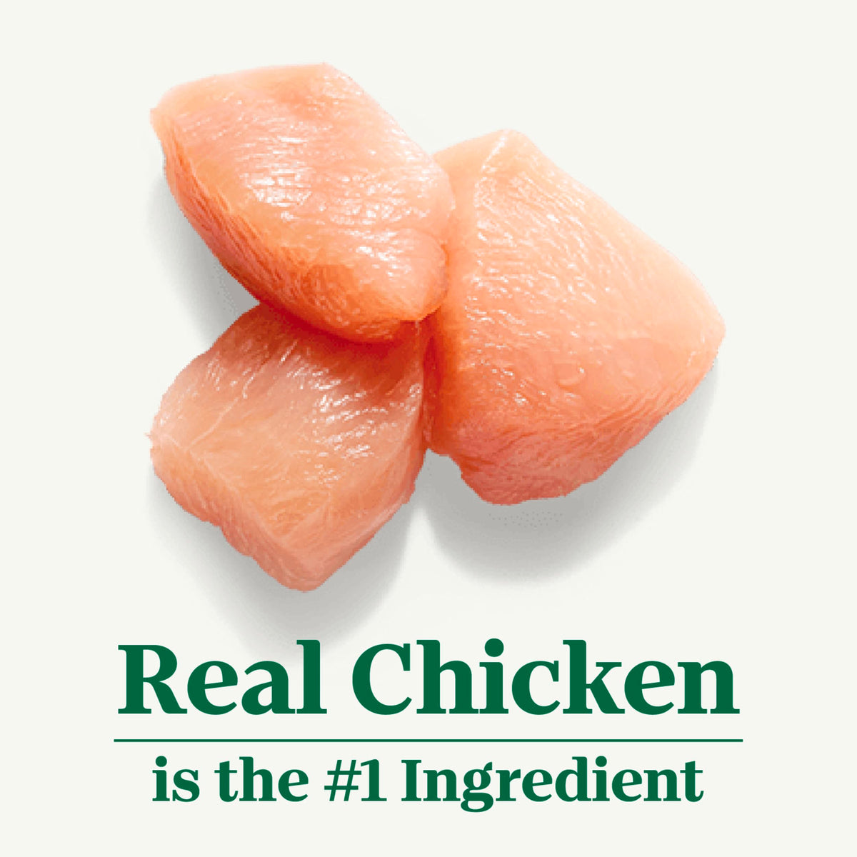 Chicken Dry Cat Food, 3 lb K72587
