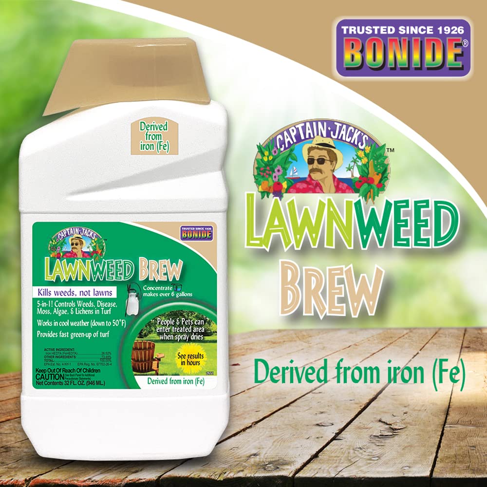 32 oz Concentrate Weed Moss Algae Control O575381