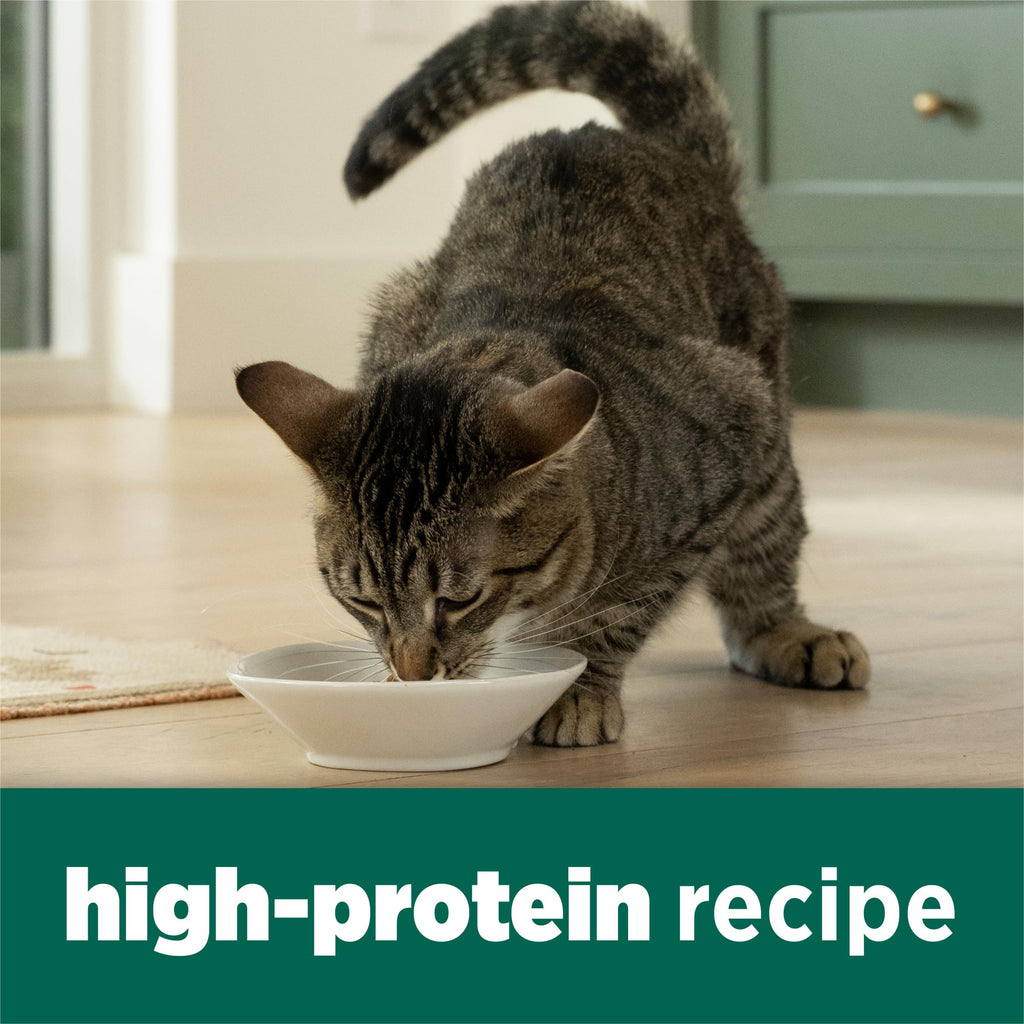 High Protein Dry Cat Food, 13 lb Bags Z560