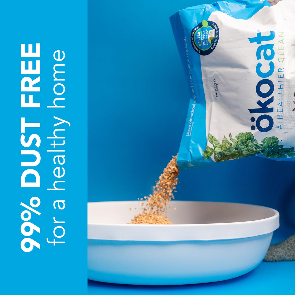 Unscented Wood Clumping Cat Litter 13.2 pounds L47849
