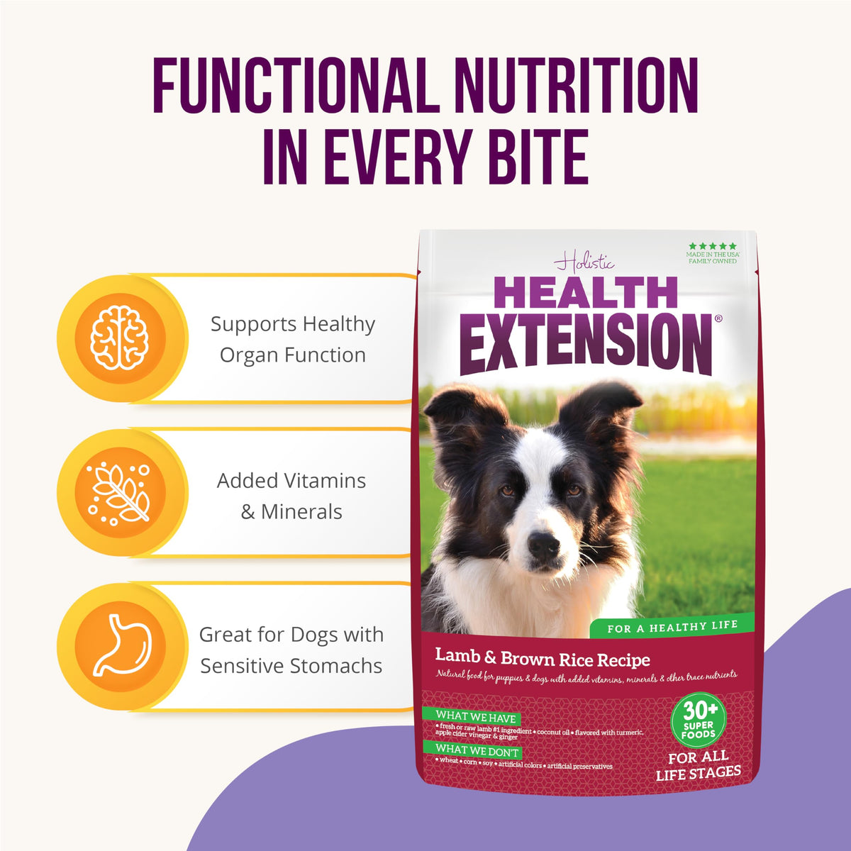 Lamb & Brown Rice Dry Dog Food with Probiotics 1 lb A831131
