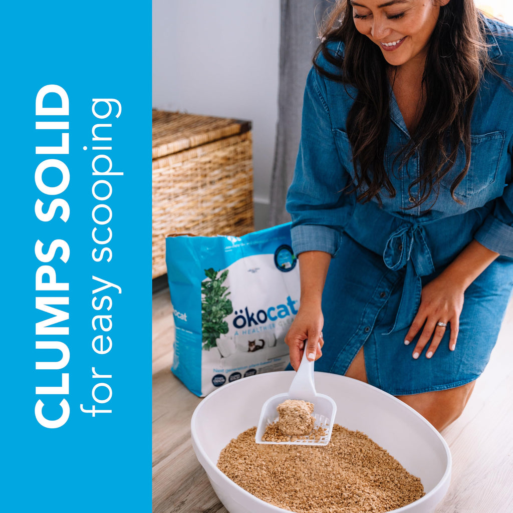 Unscented Wood Clumping Cat Litter 13.2 pounds L47849