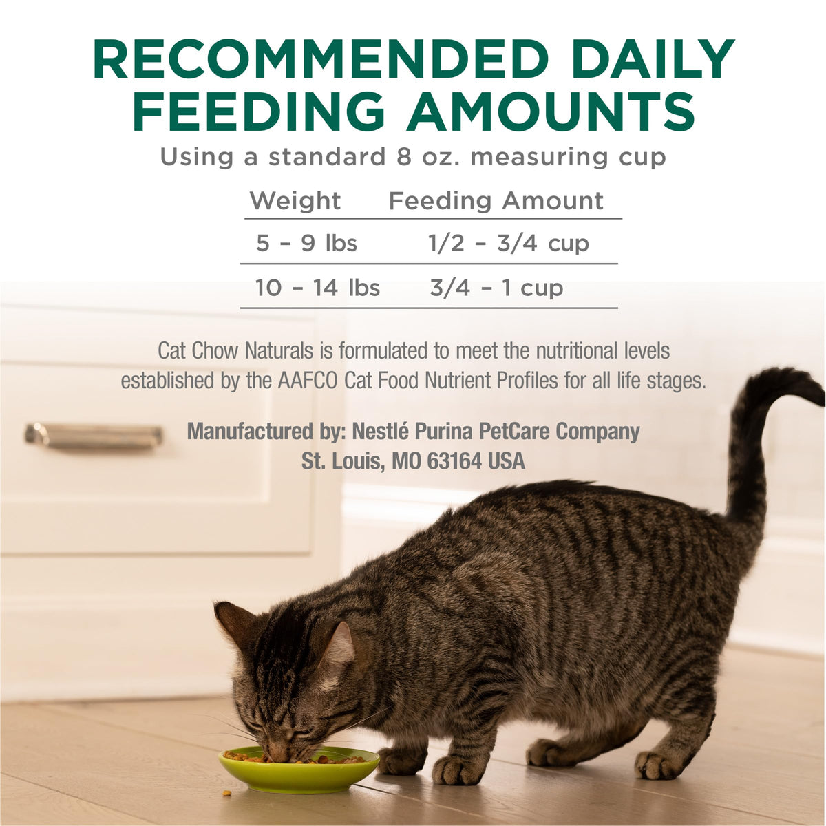 High Protein Dry Cat Food, 13 lb Bags Z560