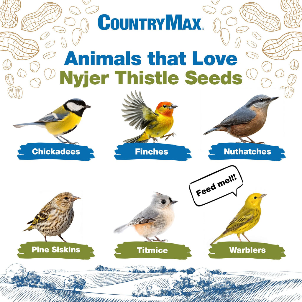 Nyjer Seed for Finches & Songbirds V821