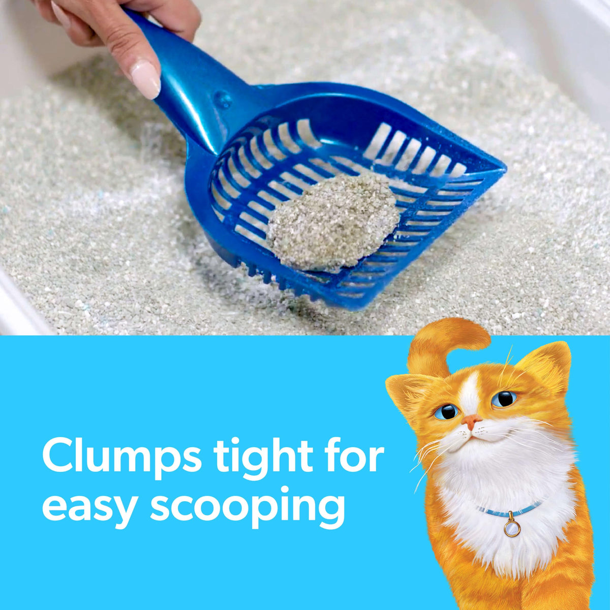 Multi Cat Clumping Cat Litter with Ammonia Block Tech 14 lb T1763