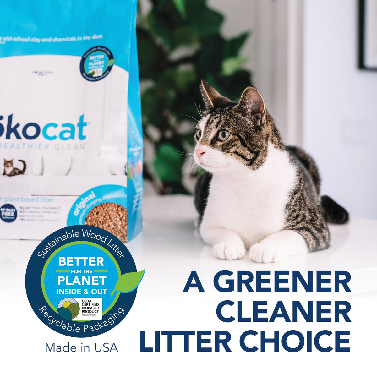 Unscented Wood Clumping Cat Litter 13.2 pounds L47849