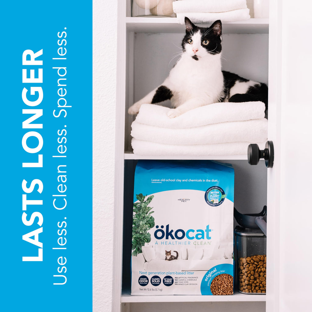 Unscented Wood Clumping Cat Litter 13.2 pounds L47849