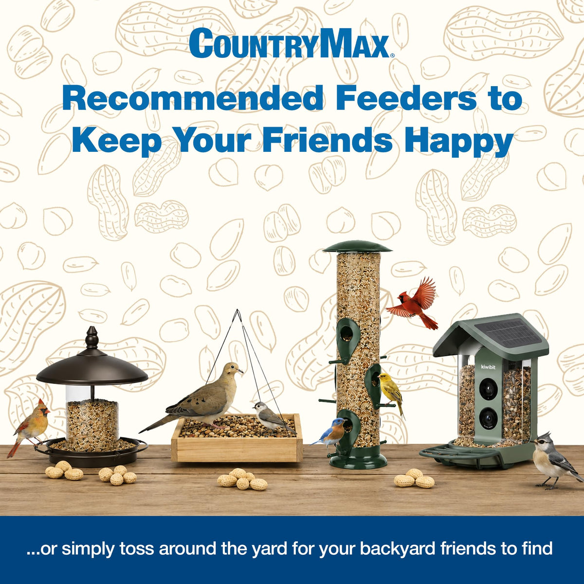 Nyjer Seed for Finches & Songbirds V821