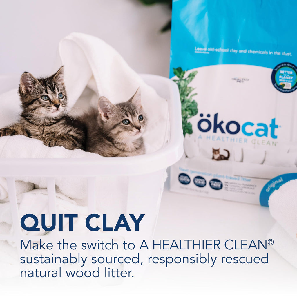 Unscented Wood Clumping Cat Litter 13.2 pounds L47849