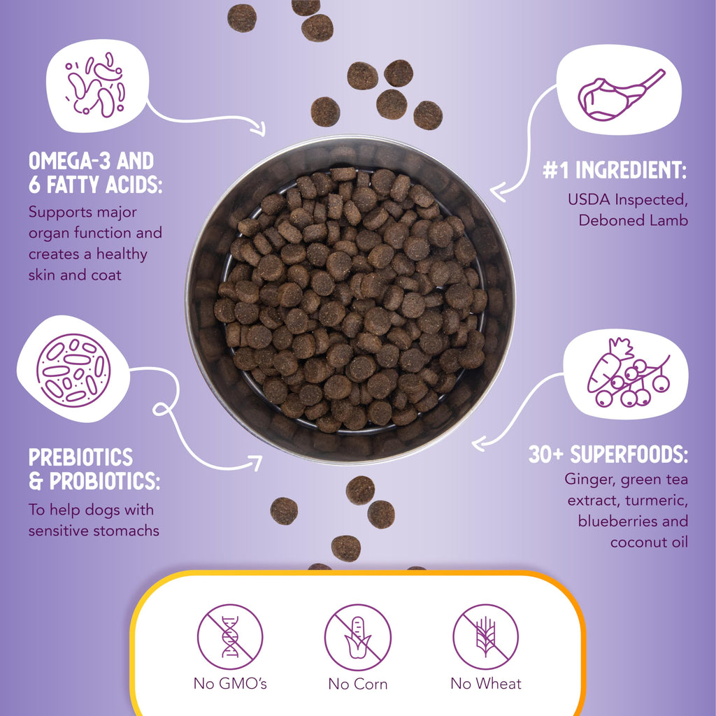 Lamb & Brown Rice Dry Dog Food with Probiotics 1 lb A831131