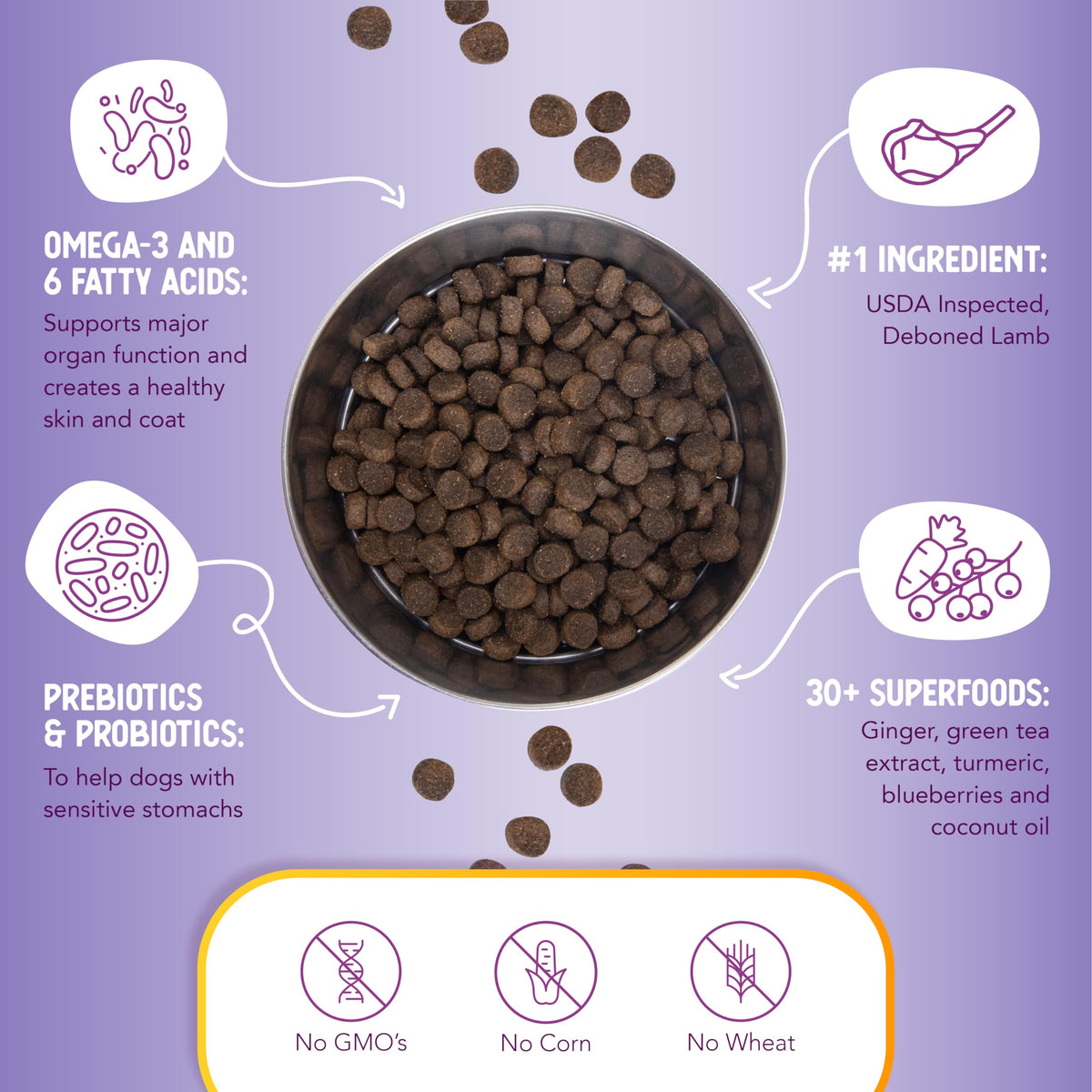 Lamb & Brown Rice Dry Dog Food with Probiotics 1 lb A831131