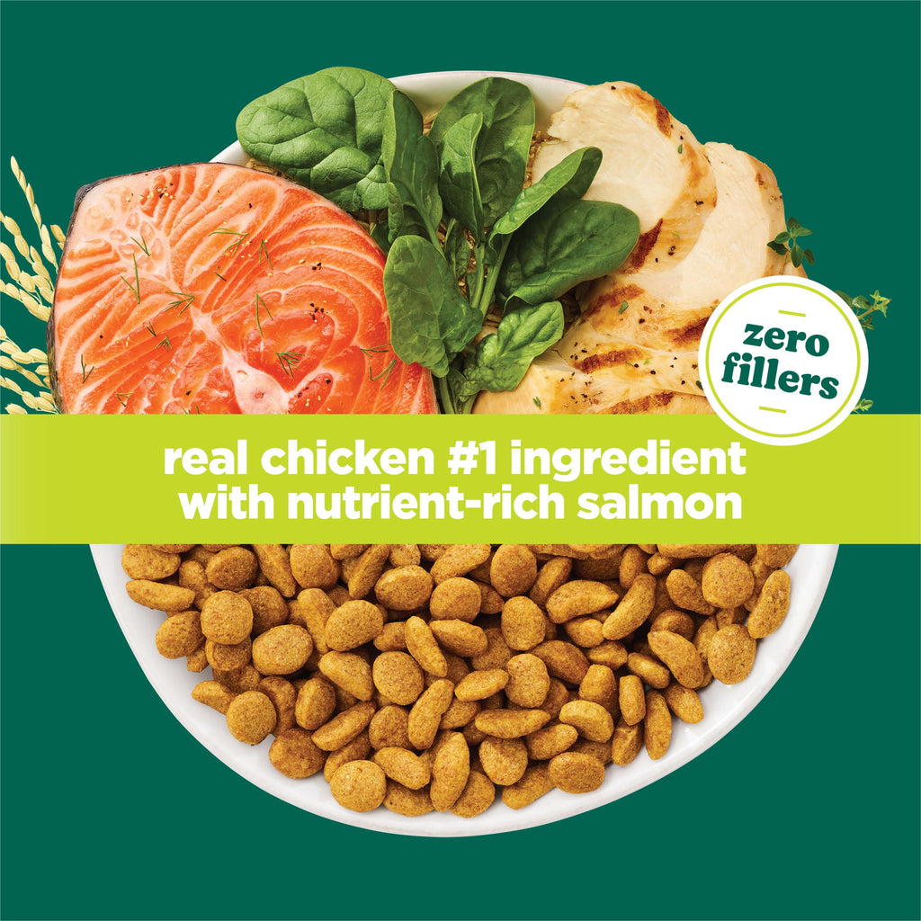 High Protein Dry Cat Food, 13 lb Bags Z560